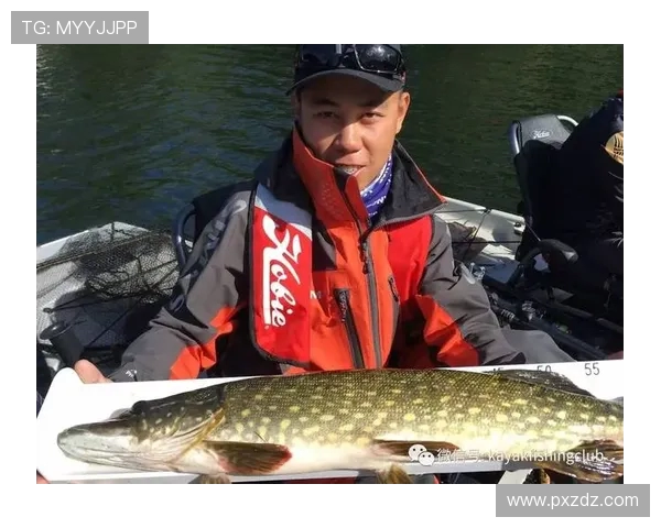 攀岩高手陈军分享成功秘诀与训练心得的独家专访